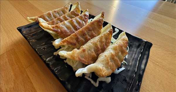 Gyoza (6)